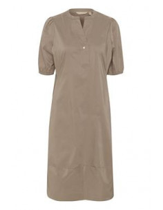 CuAntoinett Placket Dress | Pine Bark