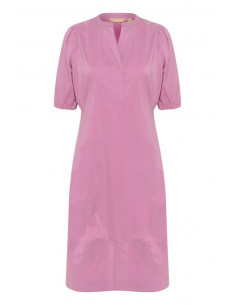 CuAntoinett Placket Dress | Pink 2