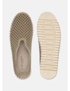 Tulip3275 | Ivory