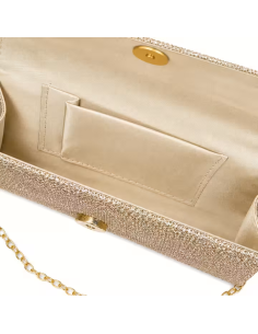 Bonny Clutch  | Champagne 2